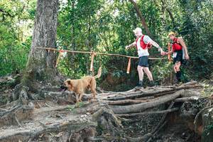 BIB: 
                            <button type="button" onclick="openModal(27742888)" class="btn btn-primary btn-sm float-right btn-popup" data-toggle="modal" data-target=".modal-high-quality">
                        <i class="fas fa-shopping-cart"></i> Add to Cart
                    </button>
                                            <button type="button" onclick="isThisMe(27742888, true)" class="btn btn-success btn-sm float-right btn-popup btn-isme hidden" data-toggle="tooltip" data-placement="bottom" title="นี่คือรูปของคุณใช่ไหม คลิกที่นี่เพื่อเอาเข้าอัลบั้ม">
                        <i class="fas fa-plus"></i> Add to album
                    </button>
                    <button type="button" onclick="isThisMe(27742888, false)" class="btn btn-warning btn-sm float-right btn-popup btn-isnotme hidden">
                        <i class="fas fa-ban"></i> Remove from album
                    </button>